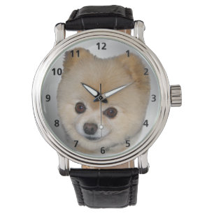 Spitz-Hund Armbanduhr
