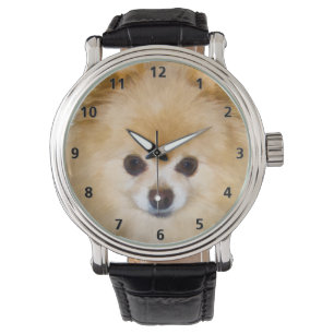 Spitz-Hund Armbanduhr