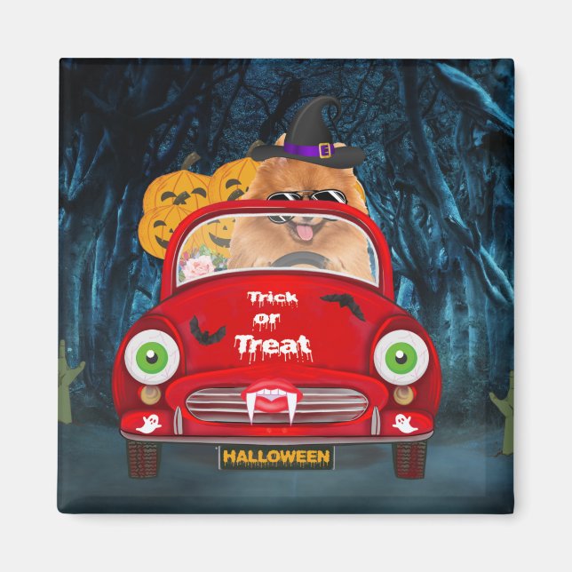 Spitz Hund Autofahren Auto Beängstigend Halloween Magnet (Vorne)
