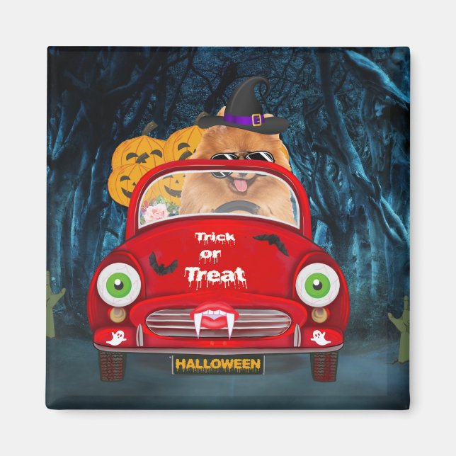 Spitz Hund Autofahren Auto Beängstigend Halloween Magnet (Vorne)