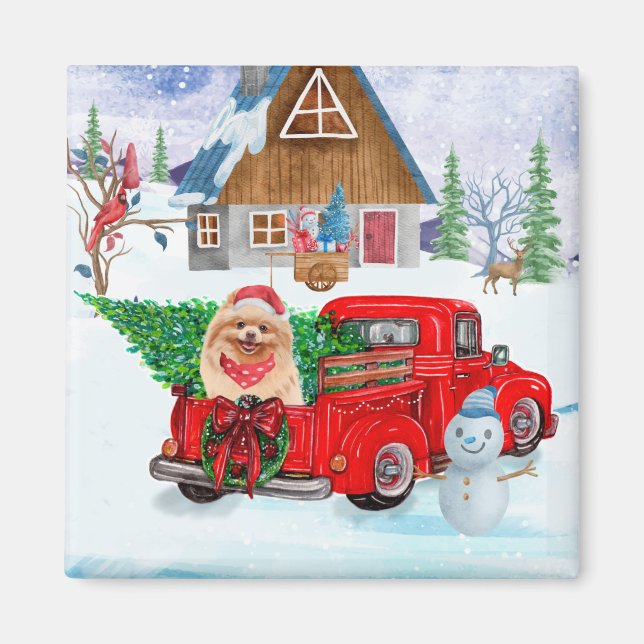 Spitz Hund in der Weihnachtslieferung LKW Schnee Magnet (Vorne)