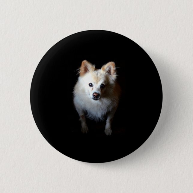 Spitz Hund in Dunkelheit Button (Vorderseite)