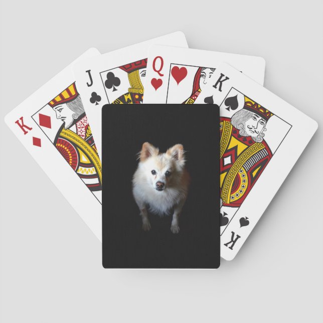 Spitz Hund in Dunkelheit Spielkarten (Rückseite)
