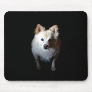 Spitz Hund in dunklen Mousepad