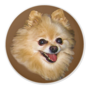 Spitz-Hund kundengerecht Keramikknauf