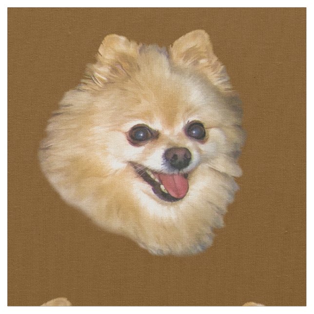Spitz-Hund kundengerecht Stoff (Nahaufnahme)