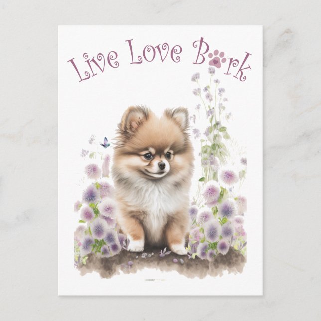 Spitz Hund Mama Bläschen Postkarte (Vorderseite)