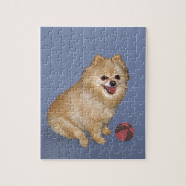 Spitz-Hund mit Ball Puzzle (Vertikal)