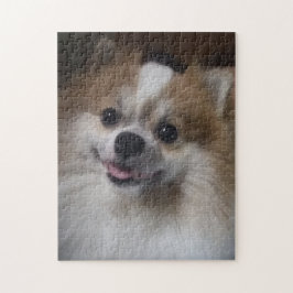 Spitz-Hund Puzzle