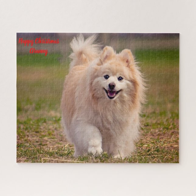 Spitz Hund. Puzzle (Horizontal)