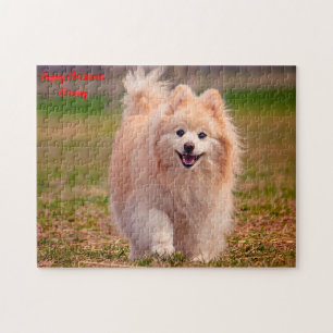 Spitz Hund. Puzzle