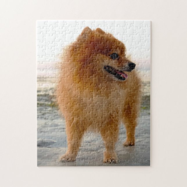 Spitz Hund. Puzzle (Vertikal)