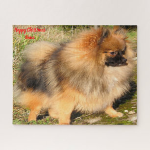 Spitz Hund. Puzzle