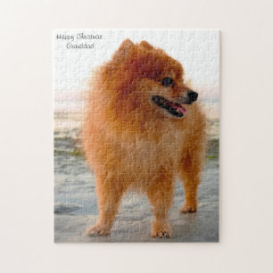 Spitz Hund. Puzzle