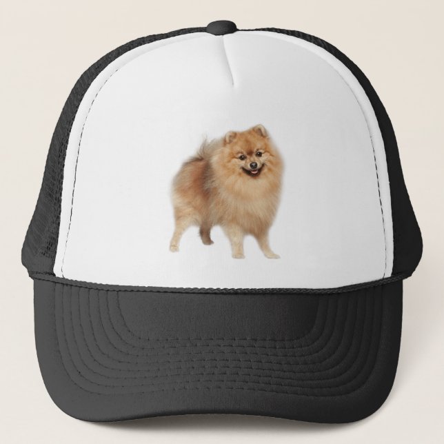Spitz Hund Tier Spezial Trucker Hut Truckerkappe (Vorderseite)