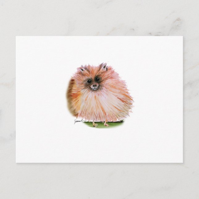 Spitz Hund, tony fernandes Postkarte (Vorderseite)