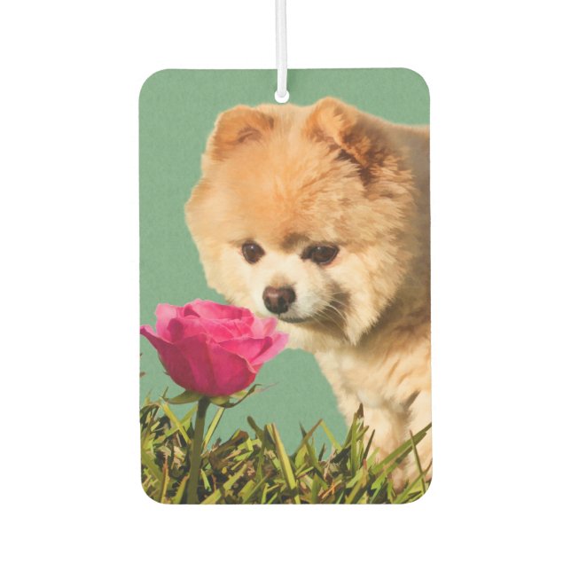 Spitz Hund und Rose Autolufterfrischer (Vorderseite)