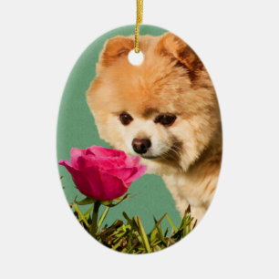 Spitz-Hund und Rosen-Verzierung Keramikornament