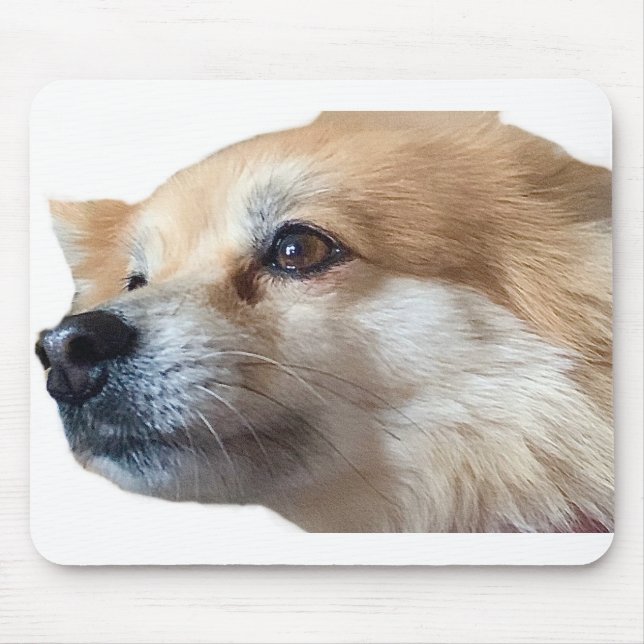 Spitz Hund Welpe Pommy Pommie Pet Mousepad (Vorne)
