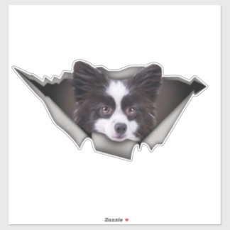 Spitz Hunde Hunde Aufkleber Spitz