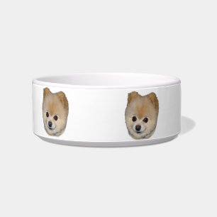 Spitz-Hundehaustier-Teller Napf