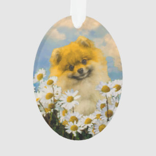 Spitz in Daisies-Malerei - Original Hund-Kunst Ornament