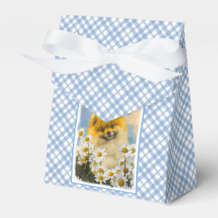 Spitz in der Malerei von Daisis - Originale Hundek Geschenkschachtel