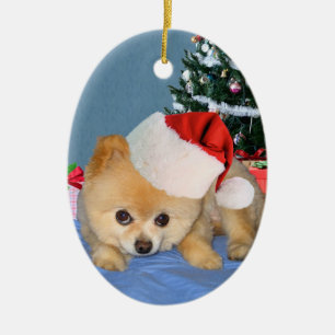 Spitz in der Weihnachtsmannmütze-Verzierung Keramik Ornament