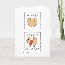 Spitz in einem gegossenen Pulli | Weihnachten