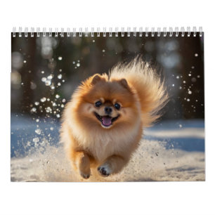 Spitz-Kalender 2025 Kalender