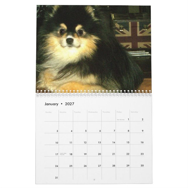 Spitz-Kalender Kalender (Jan 2027)