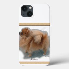 Spitz Kunstgeschenke iPhone 13 Hülle