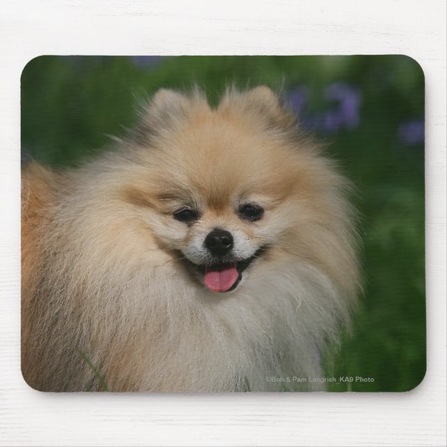 Spitz-Lächeln Mousepad (Vorne)