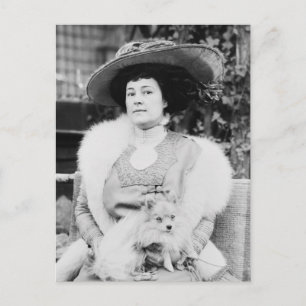 Spitz Lady Postkarte