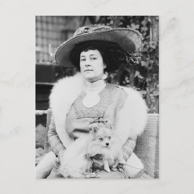 Spitz Lady Postkarte (Vorderseite)