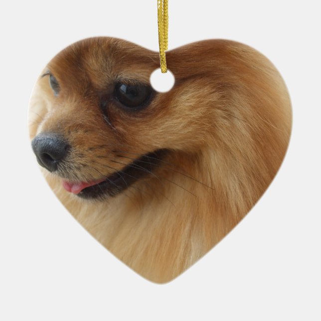 Spitz-Liebhaber Keramik Ornament (Vorne)