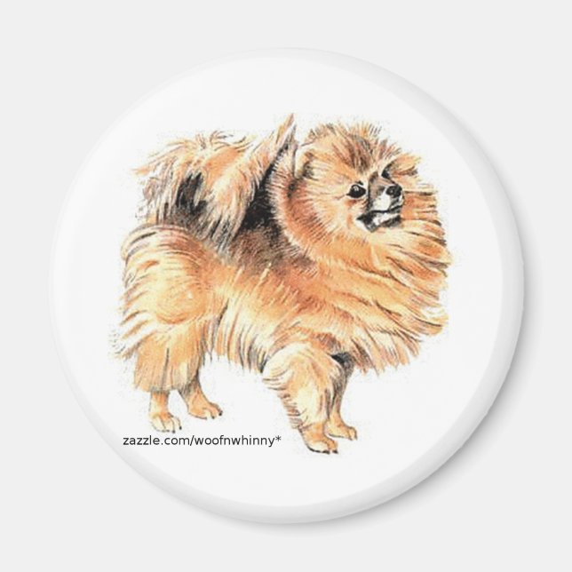 Spitz! Magnet (Vorne)