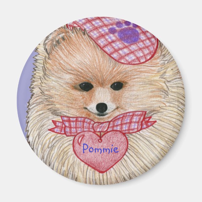 Spitz Magnet (Vorne)