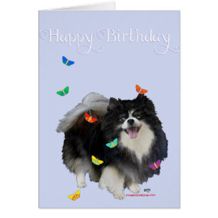 Spitz mit Schmetterlingen