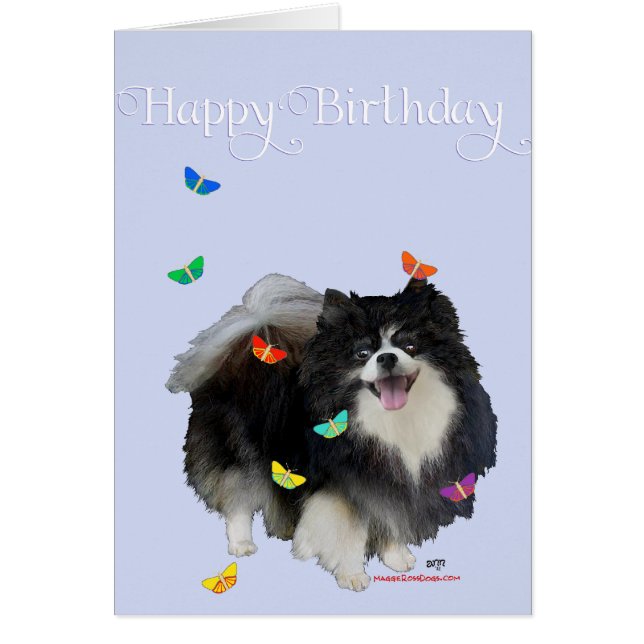 Spitz mit Schmetterlingen (Vorne)