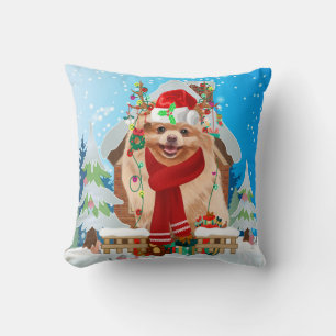 Spitz mit Weihnachtsgeschenke Kissen