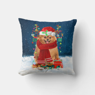 Spitz mit Weihnachtsgeschenke Kissen