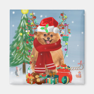 Spitz mit Weihnachtsgeschenke Magnet