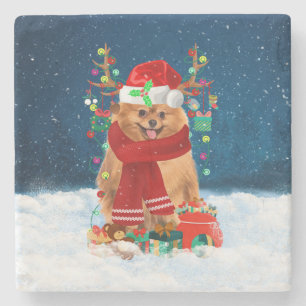 Spitz mit Weihnachtsgeschenke Steinuntersetzer