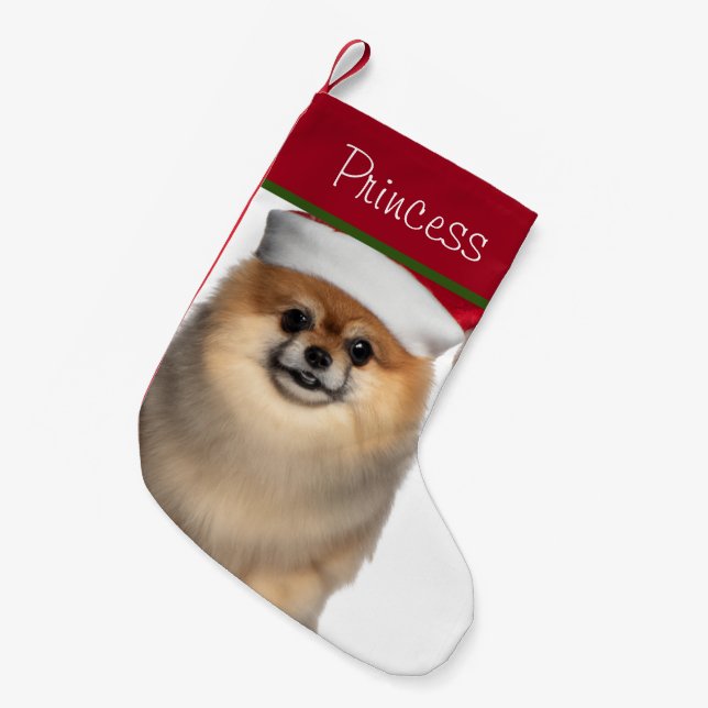 Spitz mit Weihnachtsmannmütze Kleiner Strumpf Weihnachtsstrumpf (Vorderansicht (hängend))