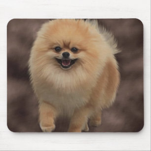 Spitz Mousepad