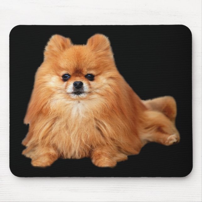 Spitz Mousepad (Vorne)