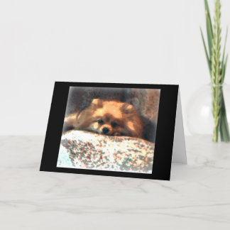 Spitz Notecard Karte