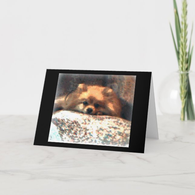 Spitz Notecard Karte (Vorderseite)