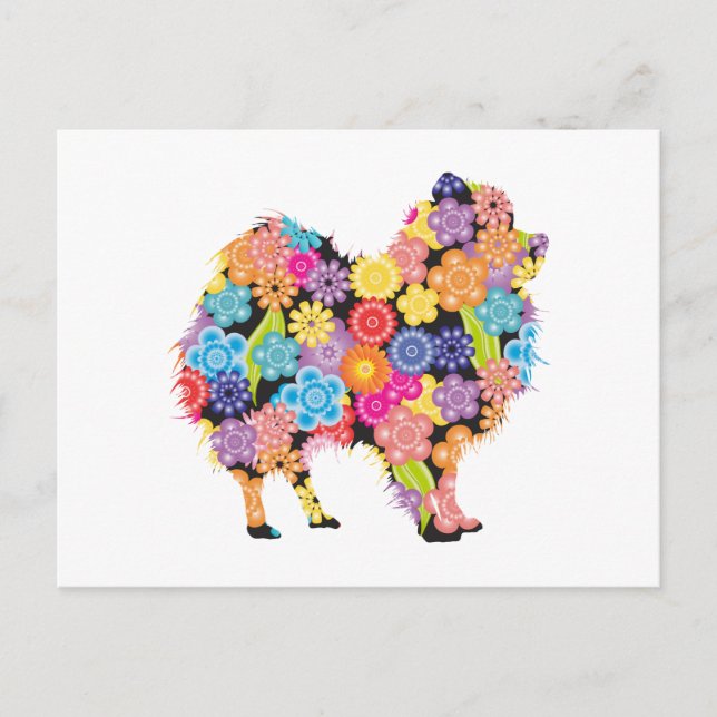 Spitz Postkarte (Vorderseite)